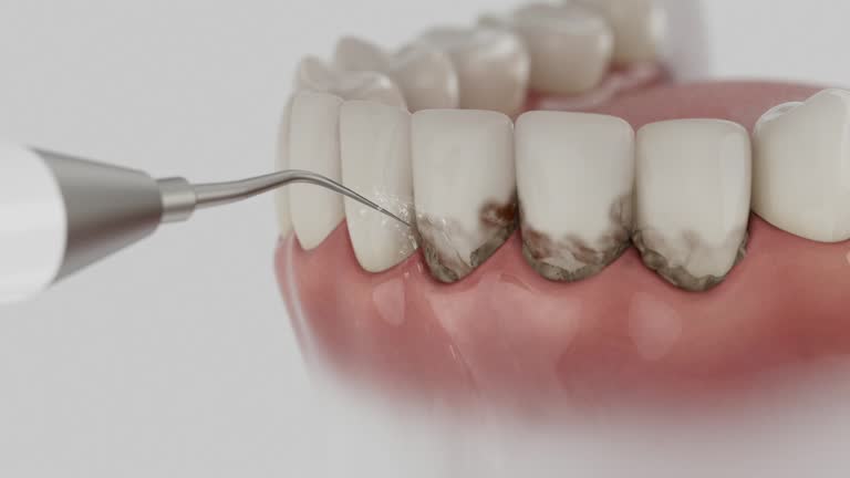 Reliable Dental contractor in Lake Shore, MN by Dentist Open Now